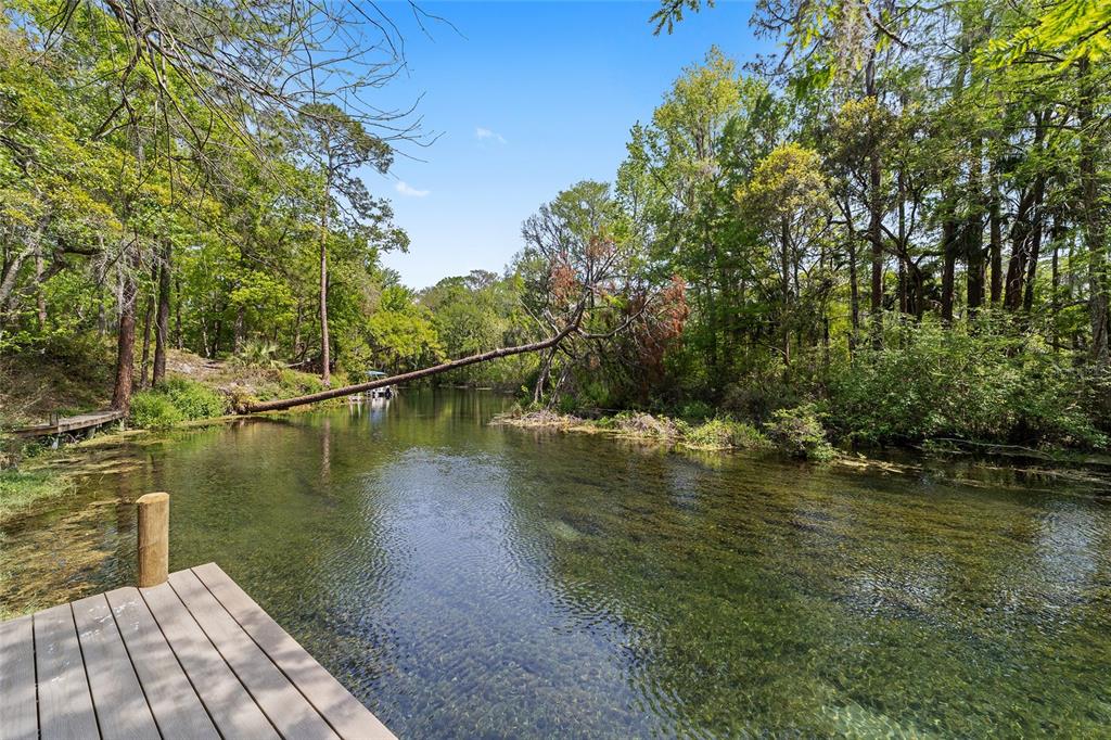 A wooden dock overlooks a clear, narrow river surrounded by lush green trees and vegetation — 10894 SW 185TH TERRACE, DUNNELLON, FL