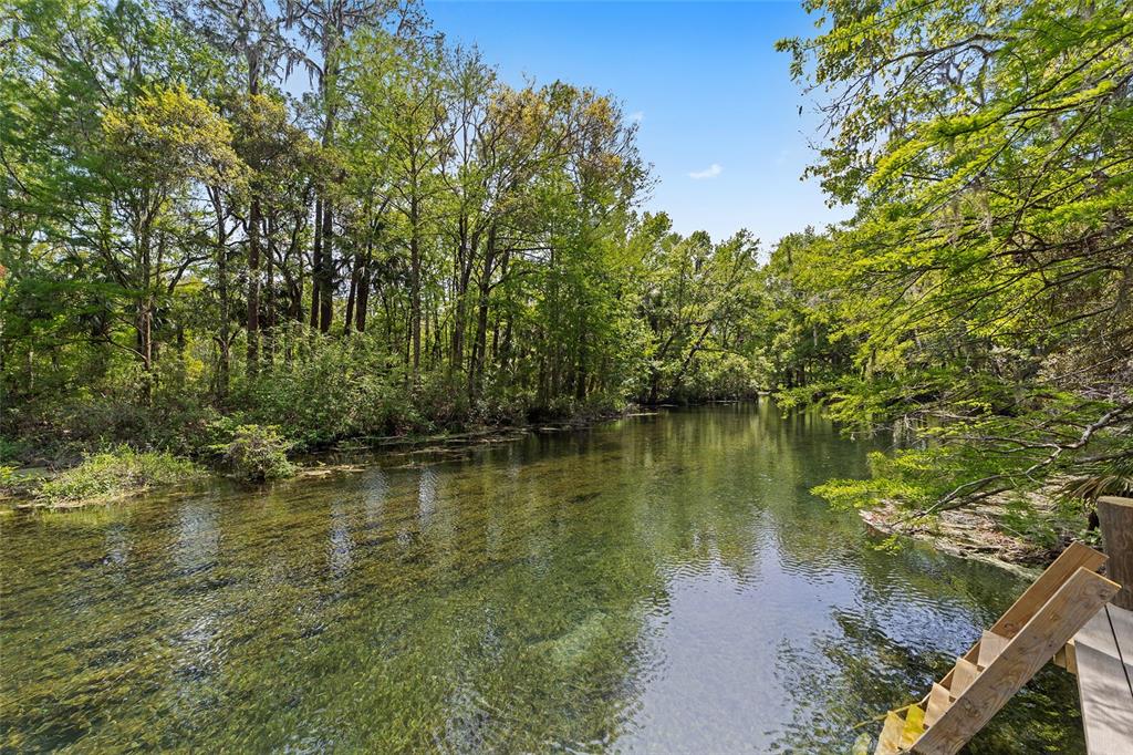A clear, shallow river flows through a dense forest with a wooden ladder in foreground — 10894 SW 185TH TERRACE, DUNNELLON, FL