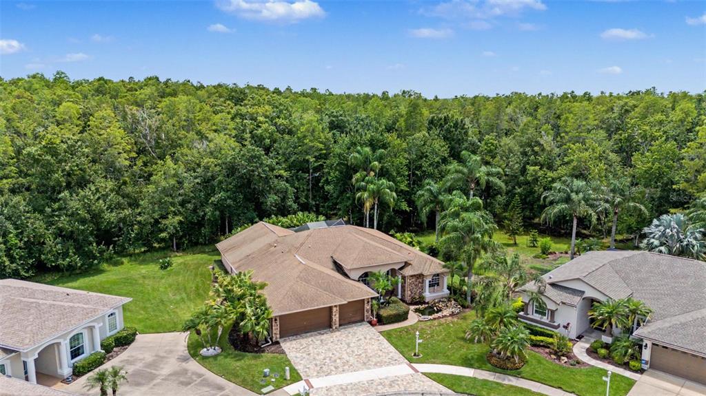 An aerial view shows a suburban house with a stone driveway and surrounding wooded area — 12146 WALSTONE COURT, TRINITY, FL