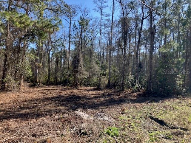 1881 HAZELNUT STREET, BUNNELL, FL — photo 2 of 6