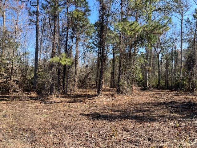 1881 HAZELNUT STREET, BUNNELL, FL — photo 3 of 6
