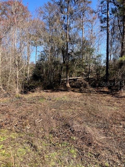 1881 HAZELNUT STREET, BUNNELL, FL — photo 4 of 6