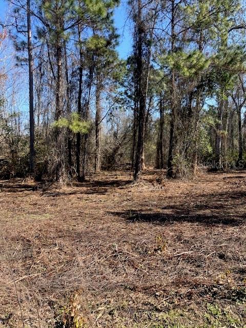 1881 HAZELNUT STREET, BUNNELL, FL — photo 5 of 6