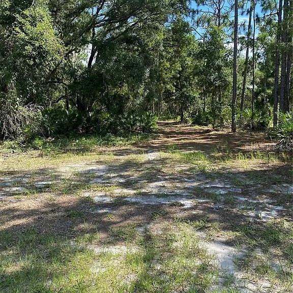 A dirt path leads into a wooded area with tall trees and patches of grass — DAYTONA DRIVE, INDIAN LAKE ESTATES, FL