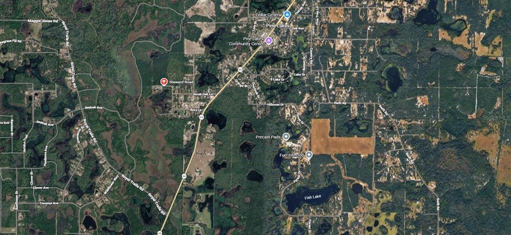 STEWARD ROAD, EUSTIS, FL — photo 3 of 9