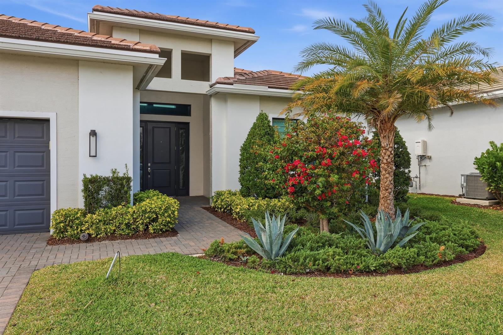 A single-story house exterior features a dark front door, a palm tree, and landscaping — 5395 Saint Vincent Lane, FL 33470, FL