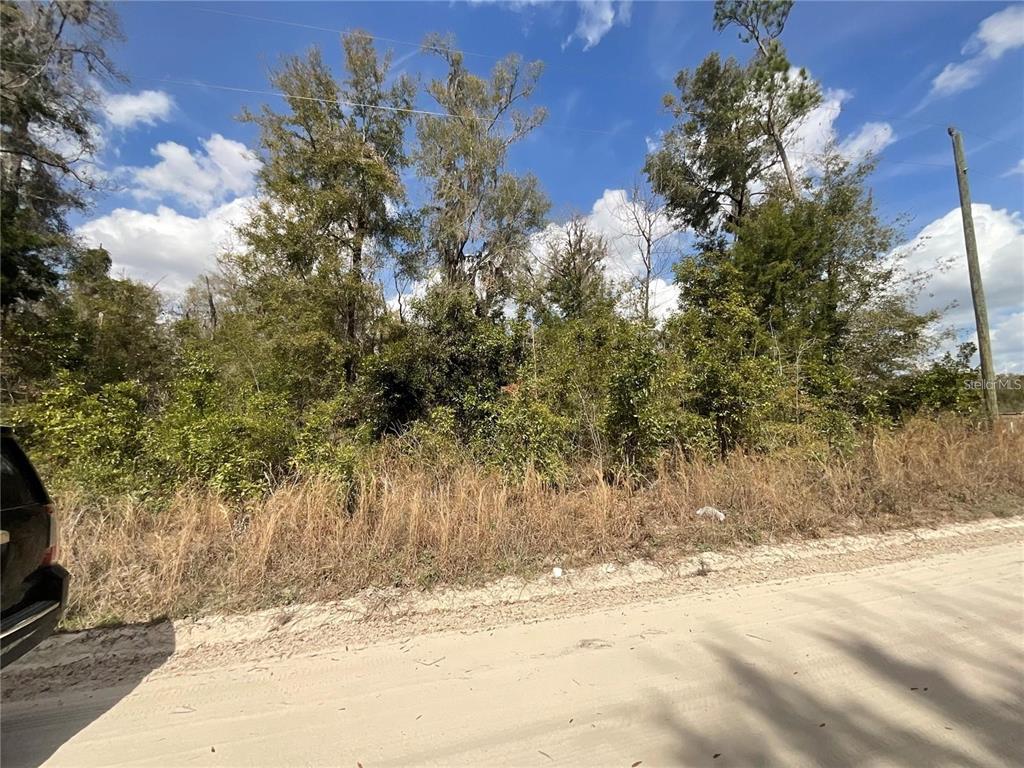 A dirt road runs alongside a wooded, undeveloped lot under a blue sky — SW OLD SPANISH ROAD, FORT WHITE, FL