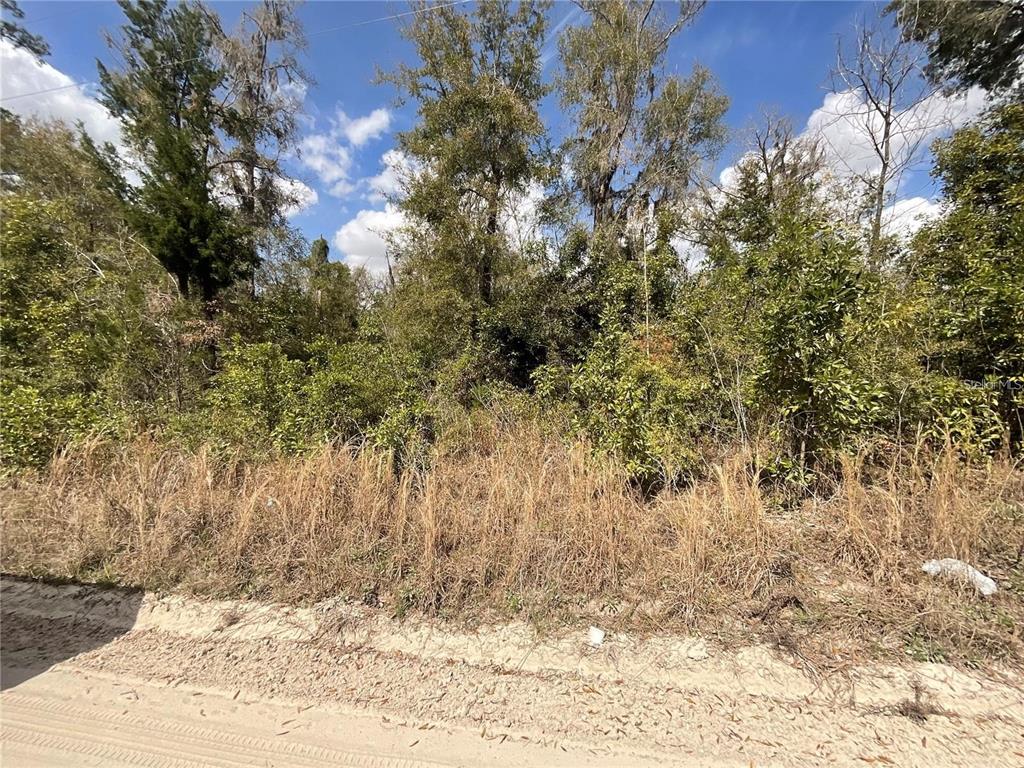 A view of a densely wooded, undeveloped lot from a sandy dirt road — SW OLD SPANISH ROAD, FORT WHITE, FL