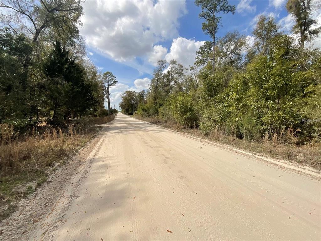 A dirt road stretches into the distance, flanked by dense trees and vegetation — SW OLD SPANISH ROAD, FORT WHITE, FL