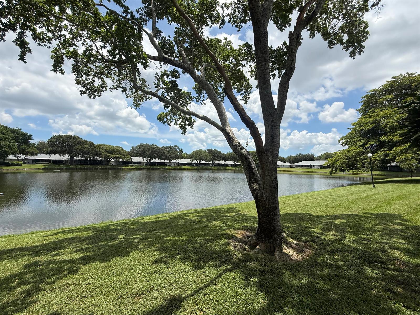 A large tree stands on a grassy lawn overlooking a calm lake with distant houses — 18528 Hidden Way, Boca Raton FL 33496, BOCA RATON, FL