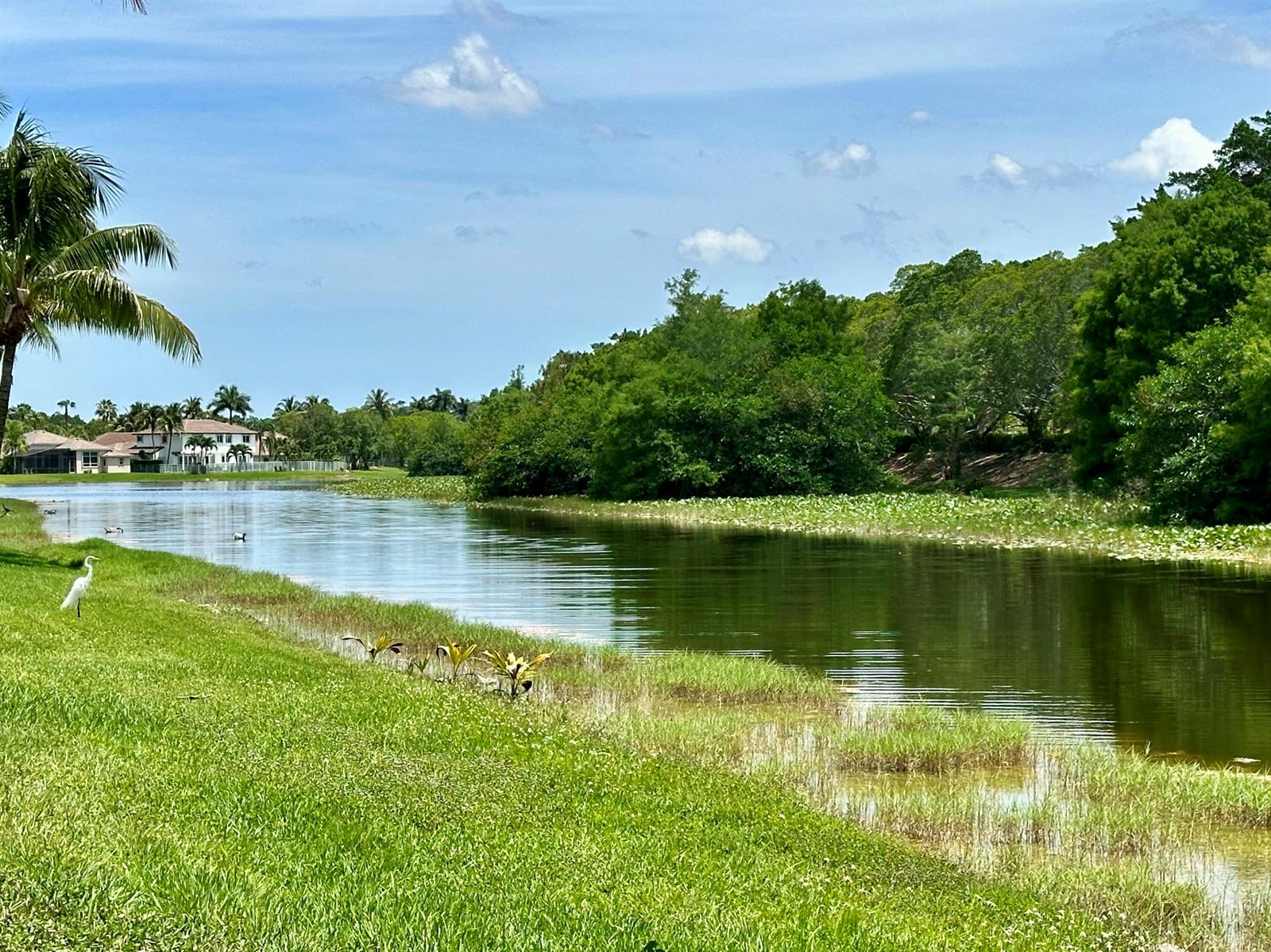 A white egret stands on a grassy bank beside a canal near residential homes — 386 Carrington Drive, Weston FL 33326, WESTON, FL