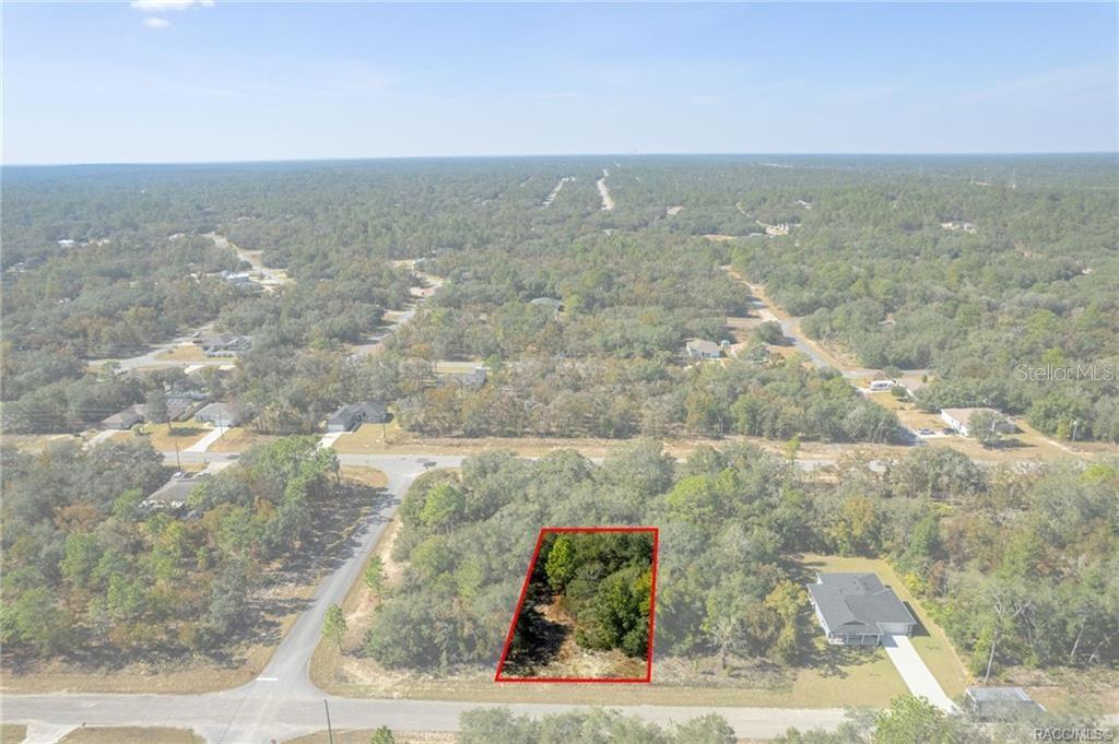 An aerial view shows a rectangular, wooded vacant lot outlined in red along a road — 6320 N MATHESON DRIVE, CITRUS SPRINGS, FL