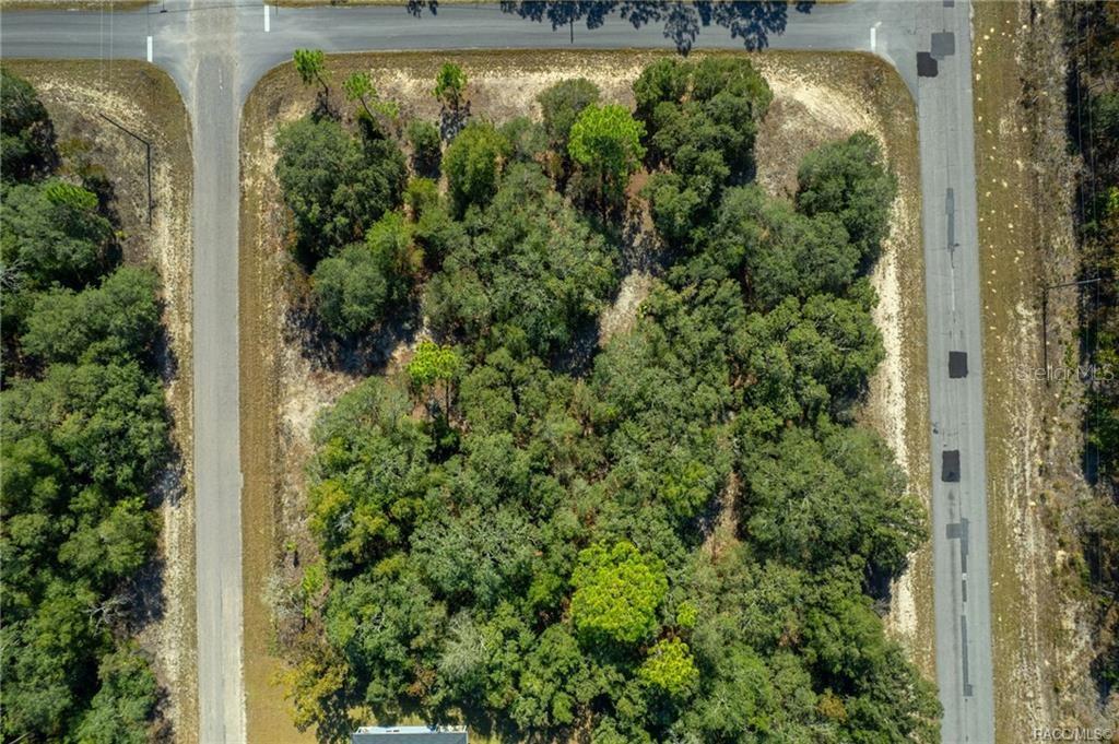 An aerial view shows a wooded, rectangular vacant lot situated at a road intersection — 6320 N MATHESON DRIVE, CITRUS SPRINGS, FL