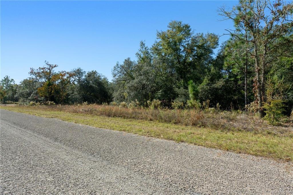 A gravel road runs alongside a vacant, wooded lot under a clear blue sky — 6320 N MATHESON DRIVE, CITRUS SPRINGS, FL