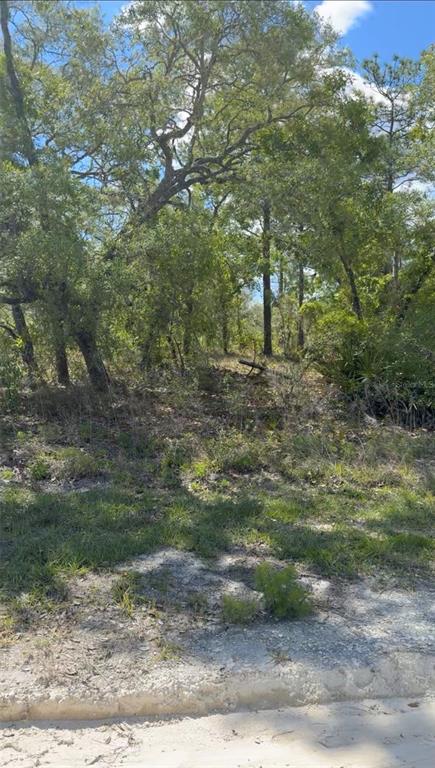 A wooded, undeveloped lot with sandy ground and scattered trees under a blue sky — 16155 MERGANSER ROAD, WEEKI WACHEE, FL