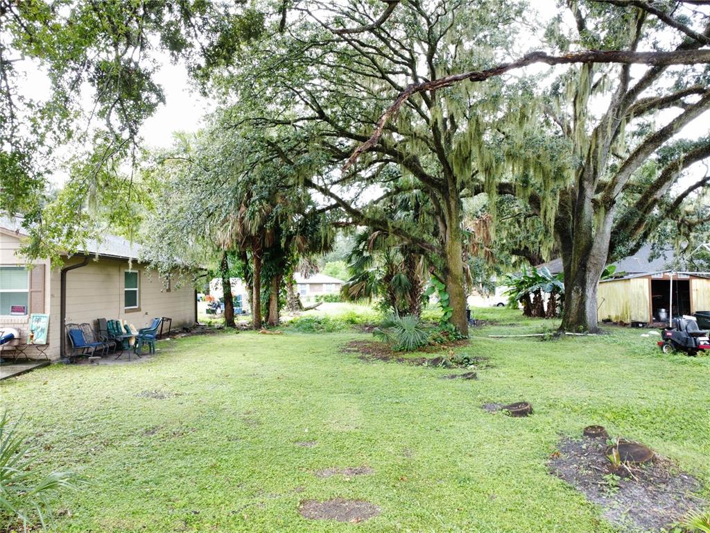 A grassy backyard features large oak trees with Spanish moss and a small storage shed — 188 MARY STREET, WINTER GARDEN, FL