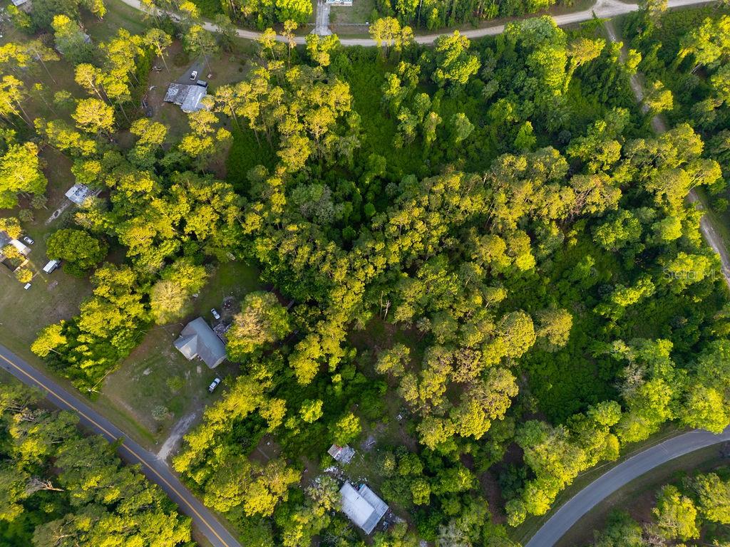 An aerial view shows a wooded lot with several houses and two paved roads — 172 WHISPERING PINES ROAD, GEORGETOWN, FL