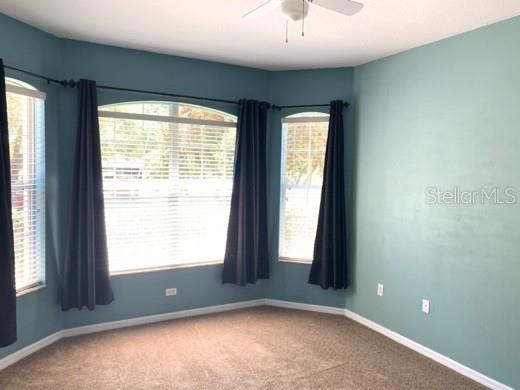 A bedroom with light blue walls, beige carpet, and two windows covered by dark curtains — 2520 PEEKSKILL ROAD, VALRICO, FL