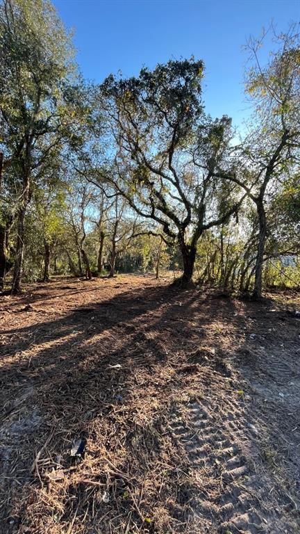 A cleared, dirt-covered lot features several mature trees under a clear blue sky — HAGAR DRIVE, NEW PORT RICHEY, FL