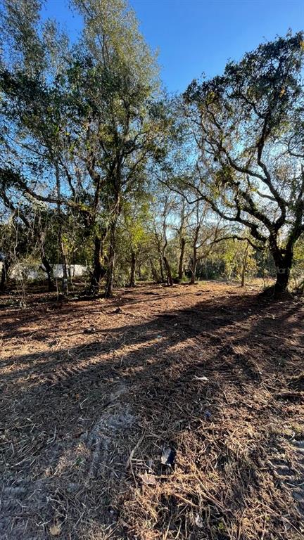 A cleared, wooded lot with mature trees under a clear blue sky — HAGAR DRIVE, NEW PORT RICHEY, FL