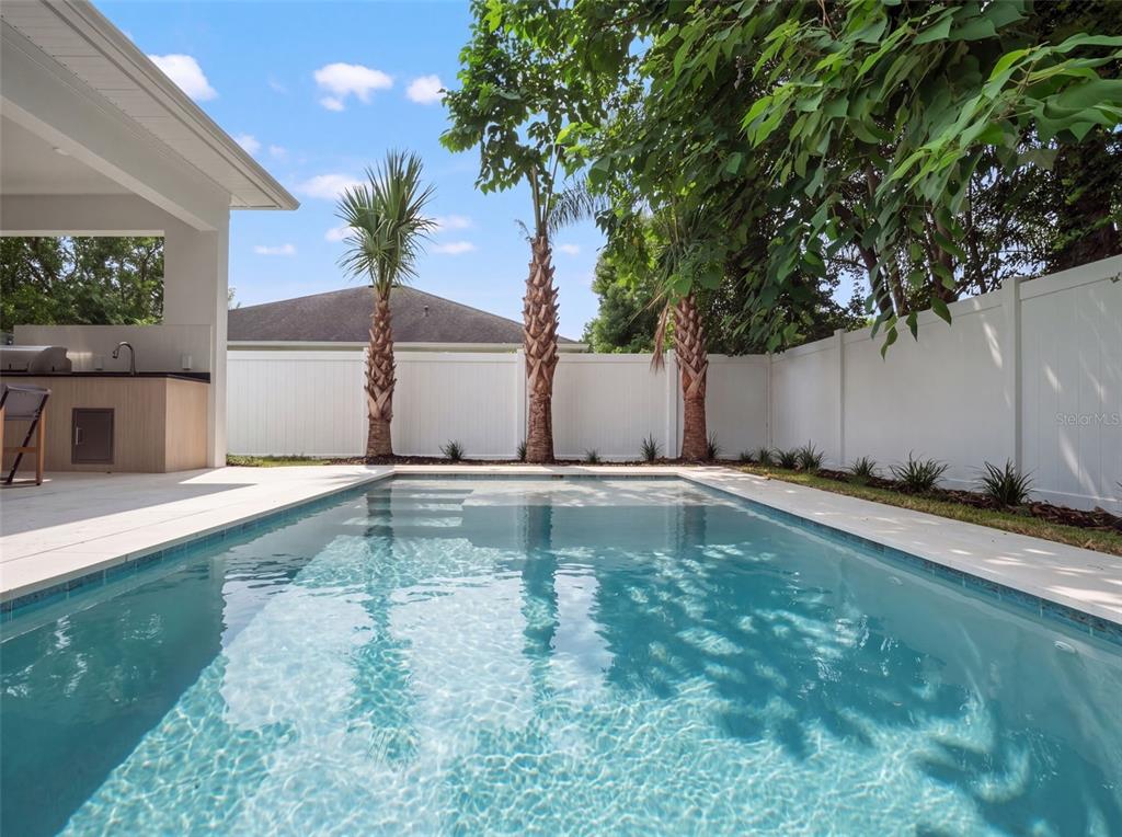 A backyard swimming pool with a patio, outdoor kitchen, and three palm trees — 1000 N FOREST AVENUE, ORLANDO, FL