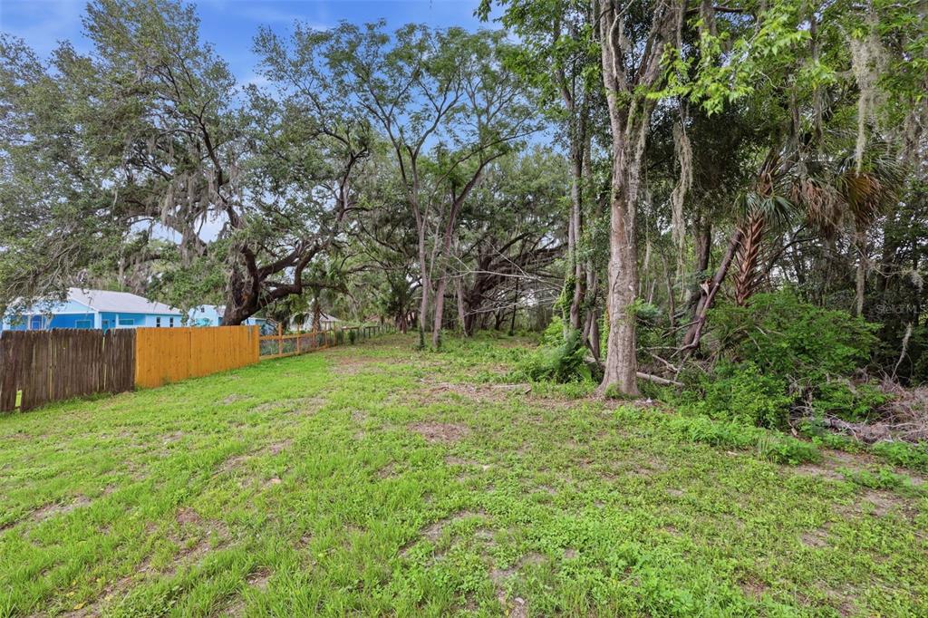 A grassy, partially wooded lot features a wooden fence bordering a neighboring blue house — 2602 WESTSIDE DRIVE, LEESBURG, FL