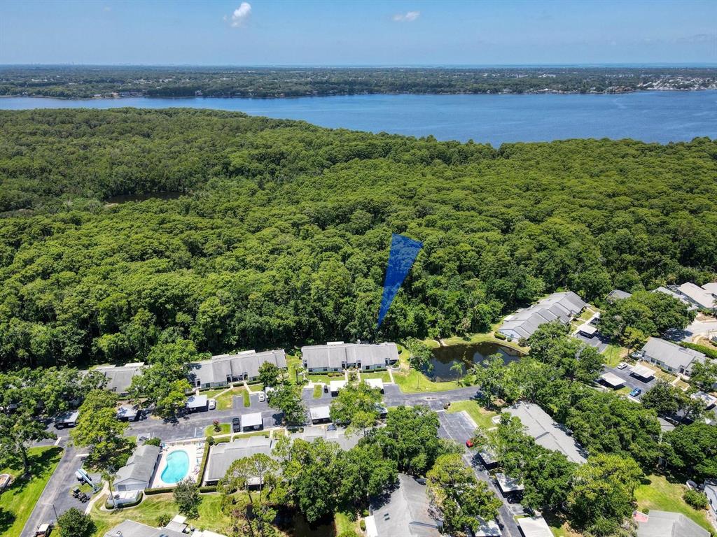 An aerial view shows a residential complex with a pool surrounded by dense forest — 3454 KILLDEER PLACE, PALM HARBOR, FL