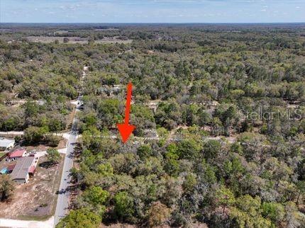 NE 54 PLACE, WILLISTON, FL — photo 2 of 3