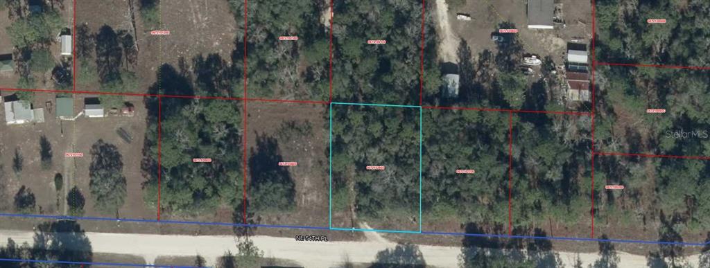 NE 54 PLACE, WILLISTON, FL — photo 3 of 3