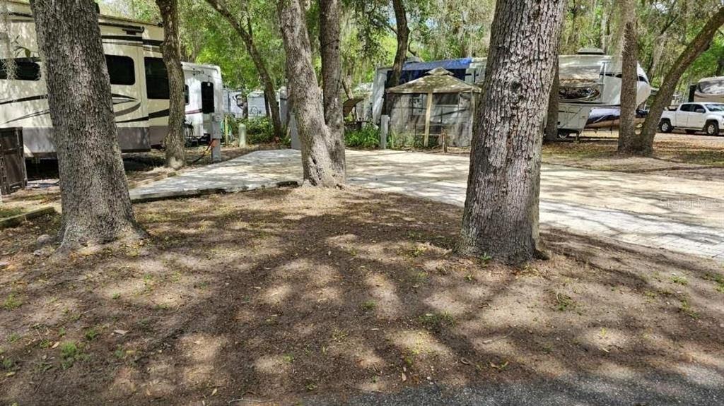 25160 140TH LOOP NE, SALT SPRINGS, FL — photo 3 of 12