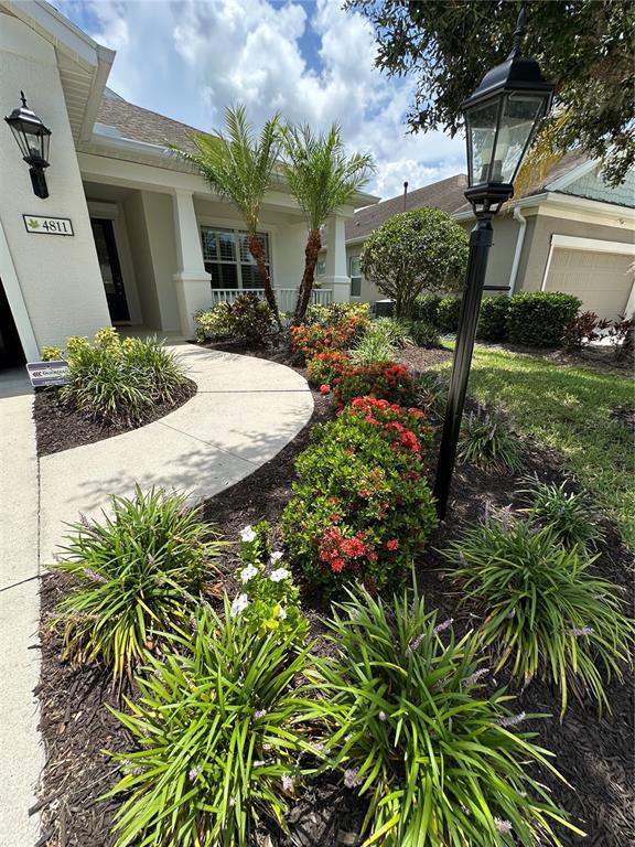 A concrete walkway leads to the front entrance of a house with landscaped garden beds — 4811 SILVERMOSS DRIVE, SARASOTA, FL