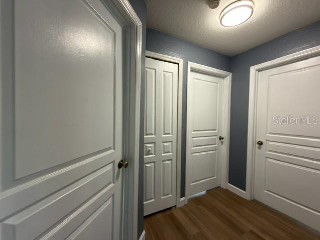 A hallway with wood-look flooring and three white paneled doors against dark blue walls — 17101 CARRINGTON PARK DRIVE UNIT 415, TAMPA, FL