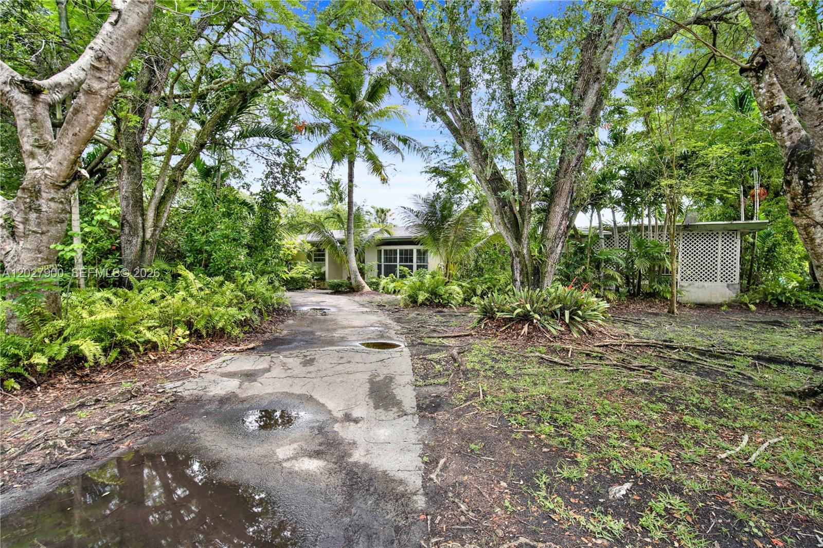 A cracked concrete driveway leads toward a house surrounded by lush trees and vegetation — 6980 SW 104th St, Pinecrest FL 33156, PINECREST, FL