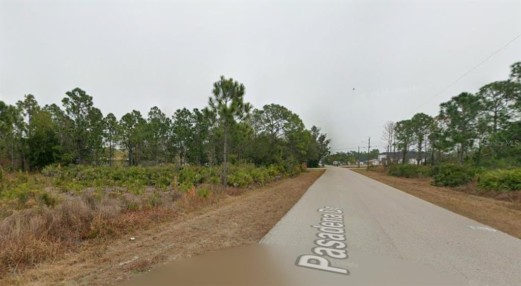 A paved road runs alongside a vacant, wooded lot under an overcast sky — 27484 PASADENA DRIVE, PUNTA GORDA, FL