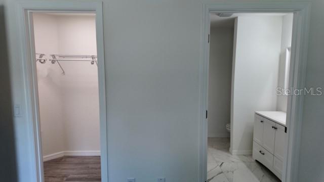 A view showing a walk-in closet on the left and a bathroom vanity on the right — 14973 SW 66 AVE ROAD, OCALA, FL