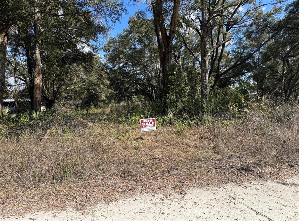A For Sale by Owner sign stands in a wooded, overgrown vacant lot — 17449 NW 89TH TER, FANNING SPRINGS, FL