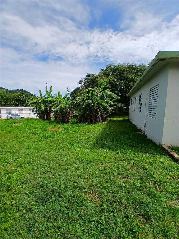 A grassy yard features banana trees beside the side wall of a white house — 372 SECTOR COTUY, YAUCO, PR
