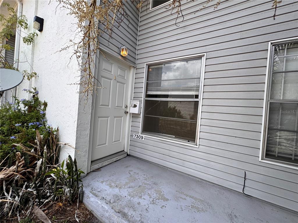 A gray-sided building exterior features a white front door, a window, and a concrete porch — 7309 JACKSON SPRINGS ROAD, TAMPA, FL