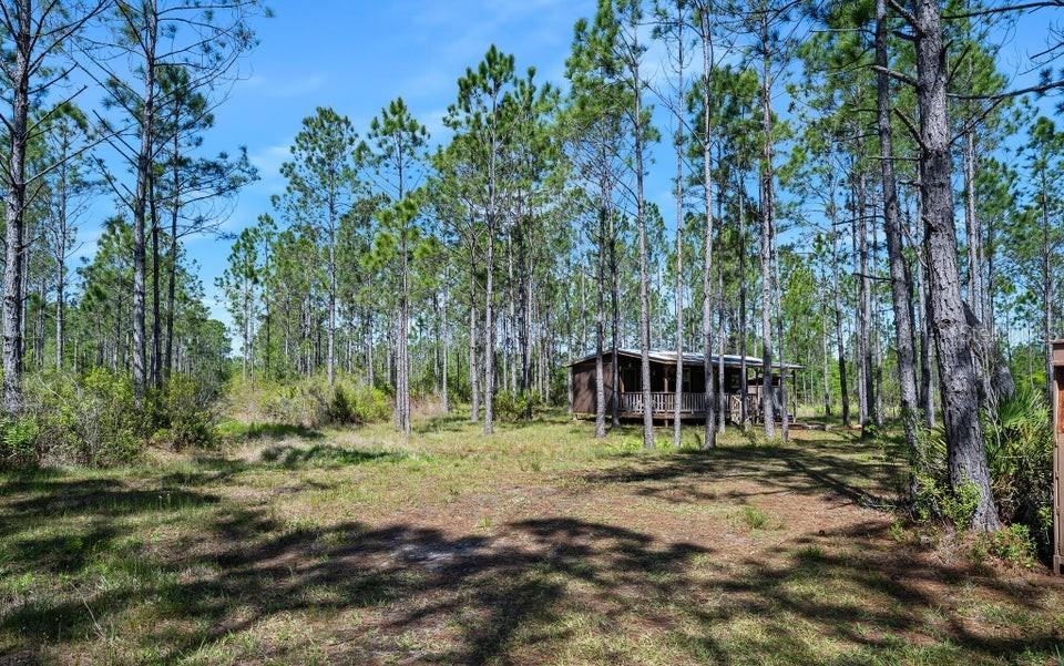 A small wooden cabin sits in a clearing surrounded by a dense pine forest — 0 CARTER STREET, BUNNELL, FL