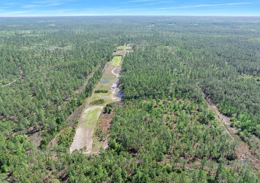 An aerial view shows a cleared, narrow path cutting through a dense, forested landscape — 0 CARTER STREET, BUNNELL, FL