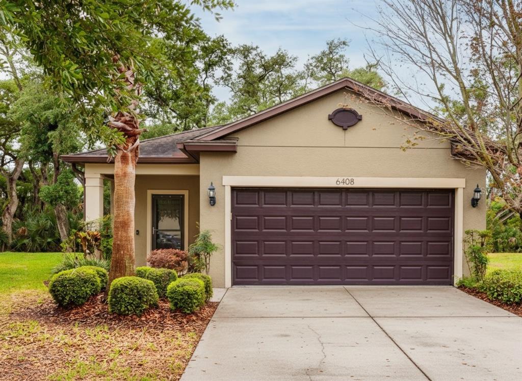 6408 YELLOW BUCKEYE DRIVE