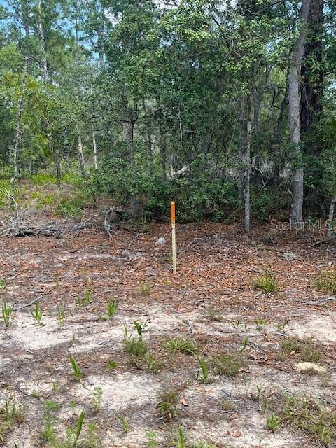 A wooden survey stake stands in a wooded, sandy lot covered with fallen leaves — TBD SW 57TH AVENUE UNIT 48 & 49, INTERLACHEN, FL