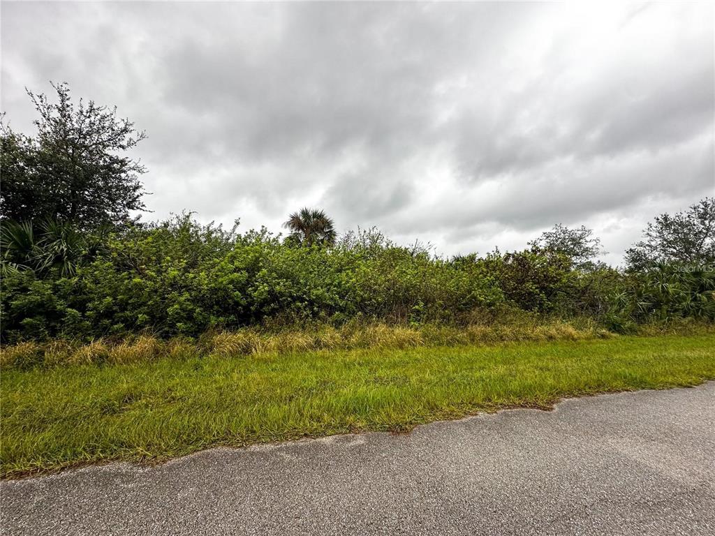A paved road runs alongside a grassy lot filled with dense green trees and shrubs — 359 FINDLAY STREET, PORT CHARLOTTE, FL