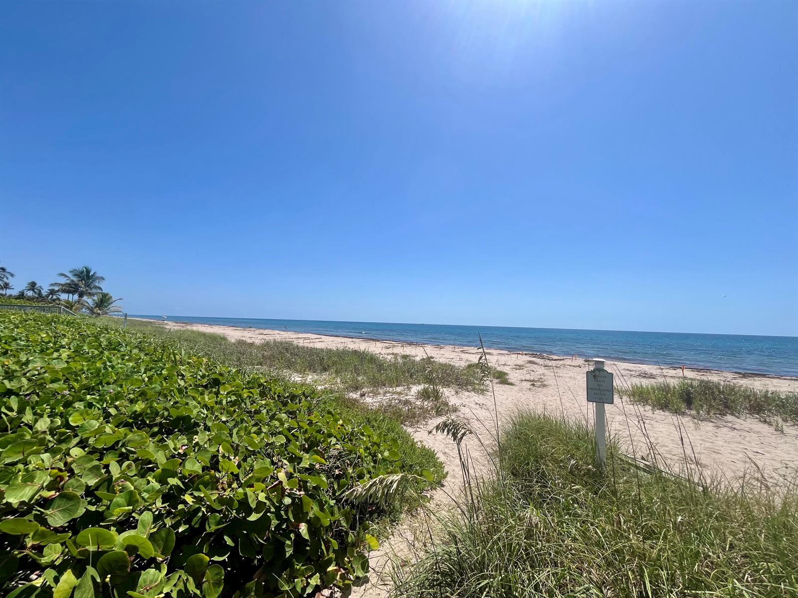 A sandy beach path leads toward the ocean, framed by green coastal vegetation and dunes — 14 Tropical Drive, Ocean Ridge FL 33435, OCEAN RIDGE, FL