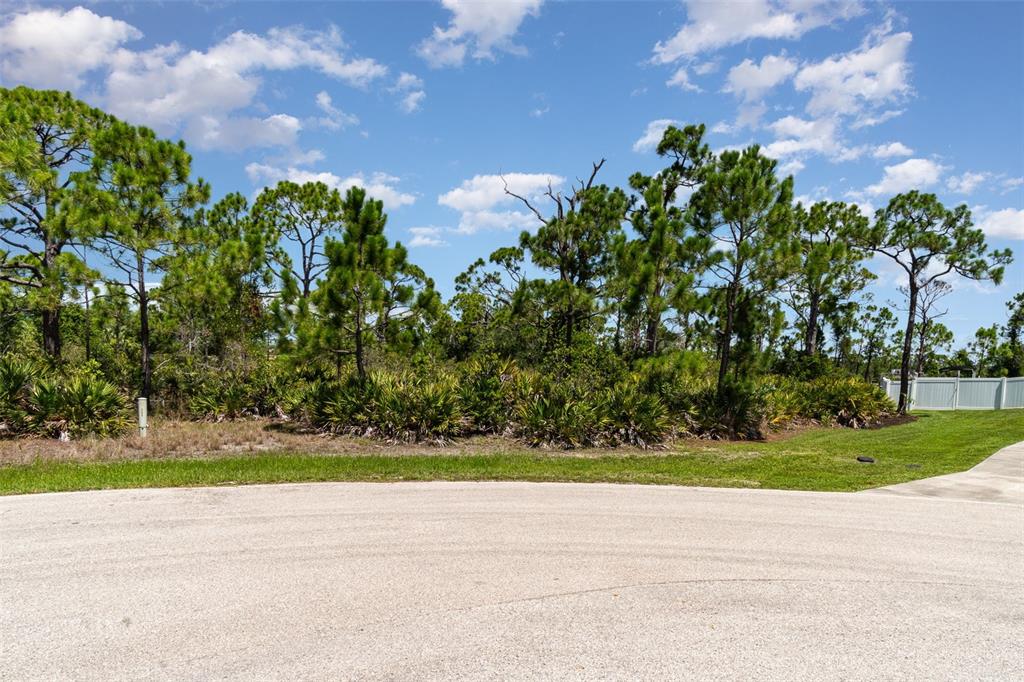 A vacant, wooded residential lot sits behind a paved cul-de-sac under a blue sky — 9437 TREASURE LAKE COURT, ST JAMES CITY, FL