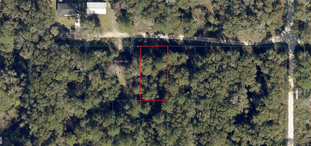 An aerial view shows a rectangular, wooded lot outlined in red along a dirt road — SE 130TH PLACE, BELLEVIEW, FL