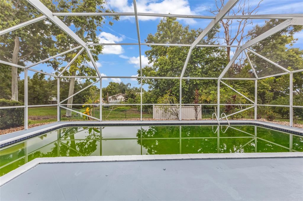 A screened-in swimming pool with green water sits in a backyard surrounded by trees — 2399 RIO DE JANEIRO AVENUE, PUNTA GORDA, FL