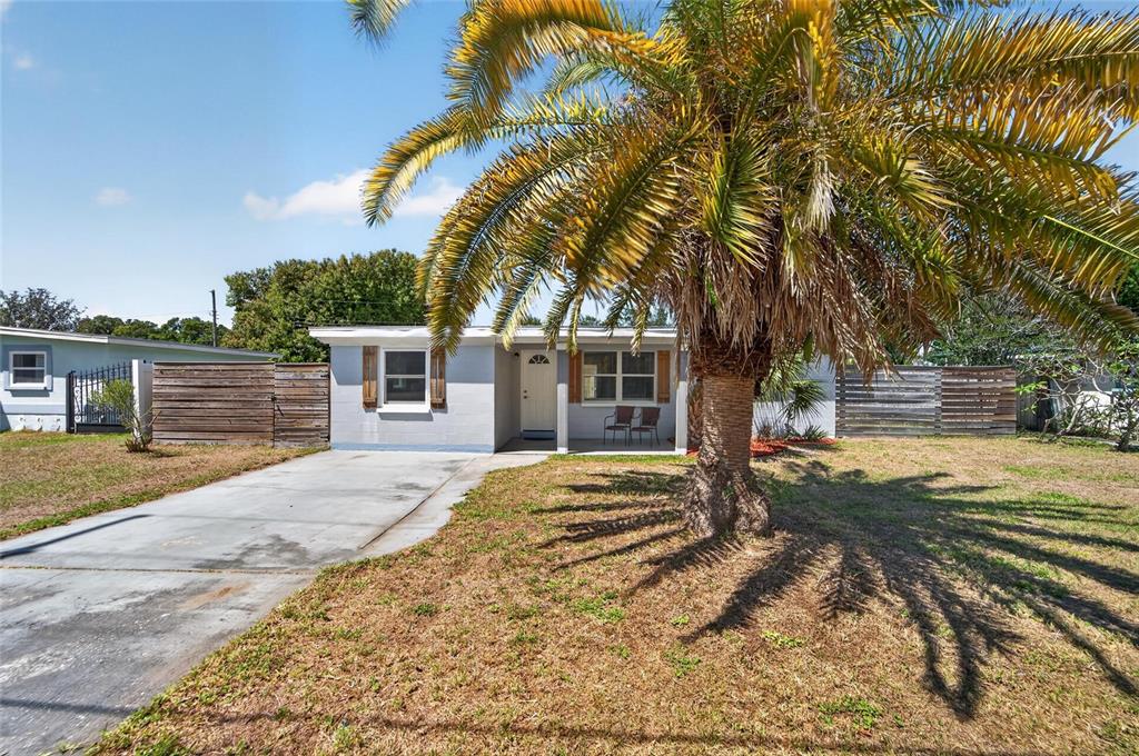 A single-story house with a concrete driveway and a large palm tree in the yard — 10353 110TH AVENUE, LARGO, FL