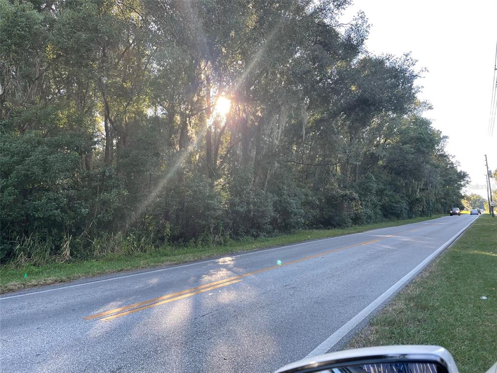 A paved road runs alongside a dense line of trees with sunlight filtering through the branches — 1290 W PLYMOUTH AVENUE, DELAND, FL