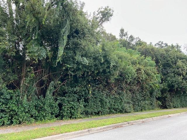 A dense wall of trees and shrubs borders a paved street and sidewalk — 1290 W PLYMOUTH AVENUE, DELAND, FL